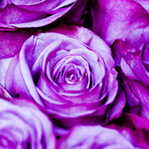 免费DDOS攻击测试工具